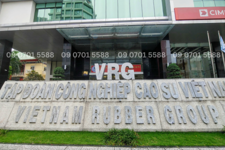 Công Ty VRG - CĐT dự án Phước Đông New City